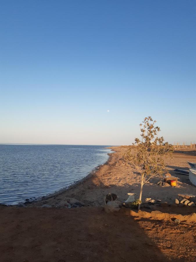 Вилла Coral Paradise Konuk evi Safaga Dış mekan fotoğraf